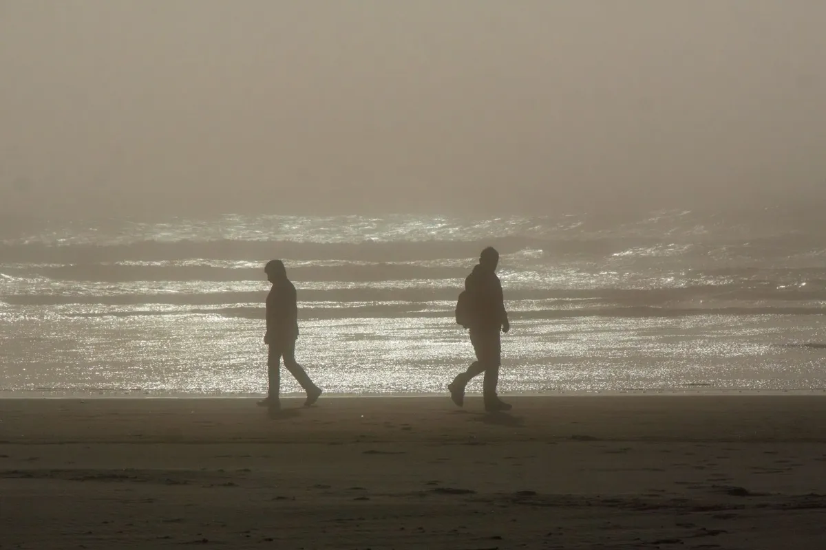 Silhouettes of two persons walking in an opposite directions